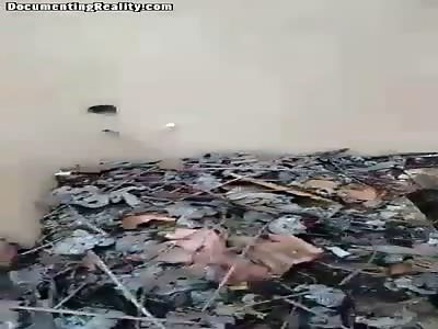 Killer shoots naked man dead and films it