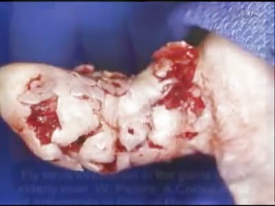 A comp that was email to me by Cornspace