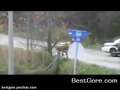 More examples of Police Brutality