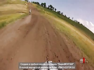 Cow..............wrong place wrong time