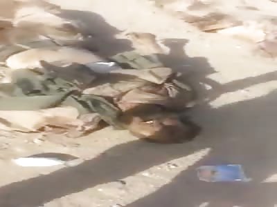 NICE COLLECTION OF DEAD DAASH MILITANTS