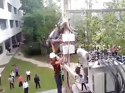 COME ON JIMMY! THIS IS NOT TIME TO PLAY DEAD!