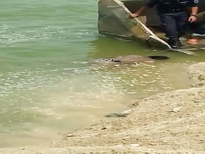 DEAD MAN BEING REMOVED FROM WATER