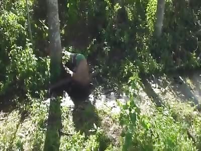 MAN FOUND DEAD IN A FOREST