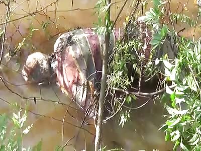 OLD MAN MISSING 3 DAYS FOUND DEAD IN A DITCH