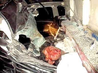 Old (and some not so old) Pictures #7