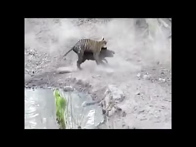 Live and die in nature