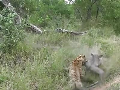 Two kills from nature.