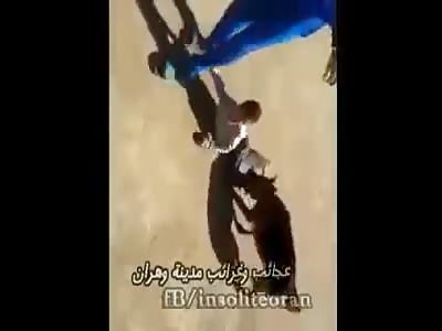 Video shocking for a young incite fierce dog on a child without mercy or pity