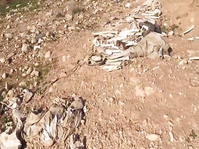 Men, women, children dumped in mass graves for 