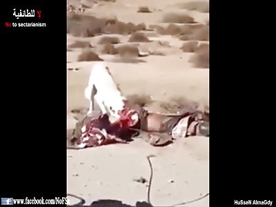 Dog Eats Dead Body Of a Soldier on the Road Side