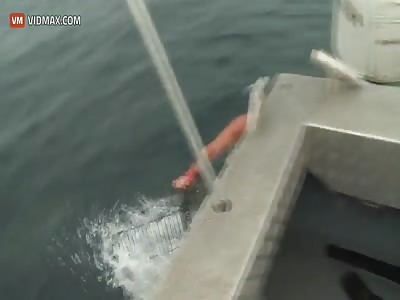 Diver has a VERY close call with shark