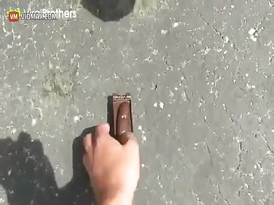 Fake Poop on a Lamborghini goes horribly wrong, dude gets tased